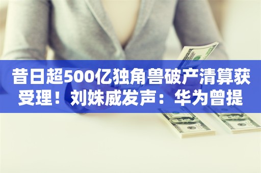 昔日超500亿独角兽破产清算获受理！刘姝威发声：华为曾提出投资被拒