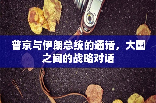 普京与伊朗总统的通话，大国之间的战略对话