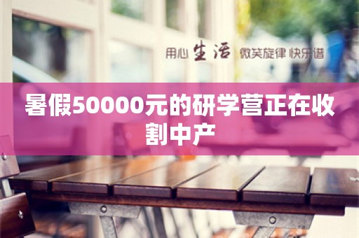 暑假50000元的研学营正在收割中产