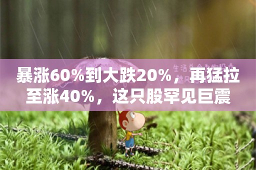 暴涨60%到大跌20%，再猛拉至涨40%，这只股罕见巨震