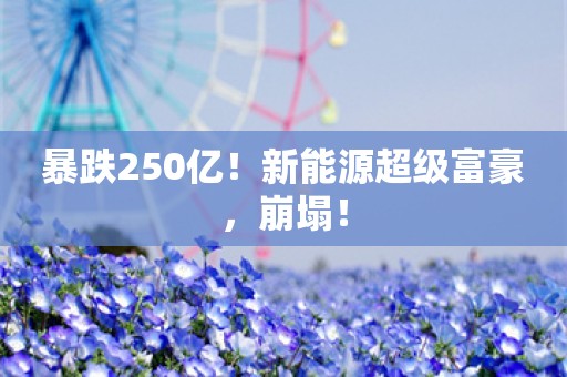 暴跌250亿！新能源超级富豪，崩塌！