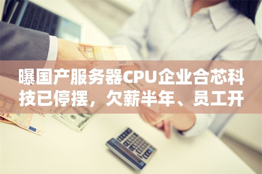 曝国产服务器CPU企业合芯科技已停摆，欠薪半年、员工开始维权