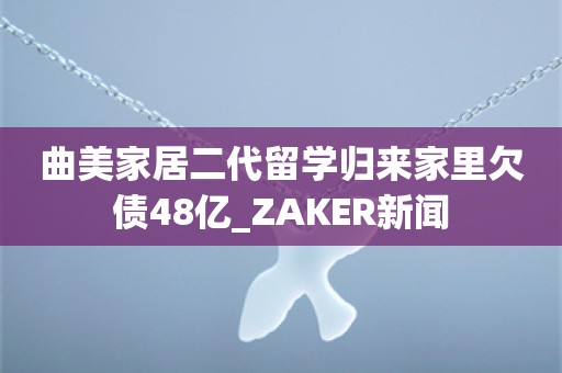 曲美家居二代留学归来家里欠债48亿_ZAKER新闻