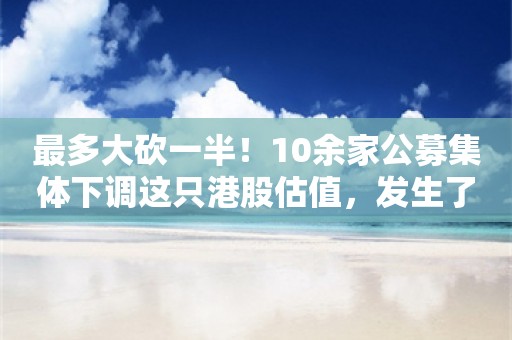 最多大砍一半！10余家公募集体下调这只港股估值，发生了什么？