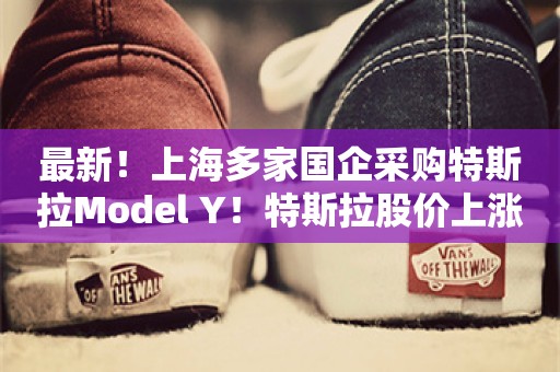 最新！上海多家国企采购特斯拉Model Y！特斯拉股价上涨，本月市值已增长1.19万亿元