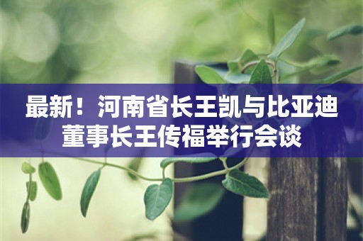 最新！河南省长王凯与比亚迪董事长王传福举行会谈