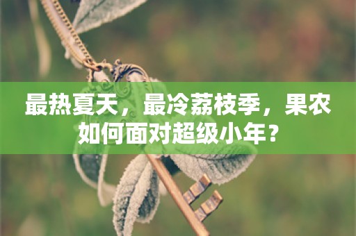 最热夏天，最冷荔枝季，果农如何面对超级小年？