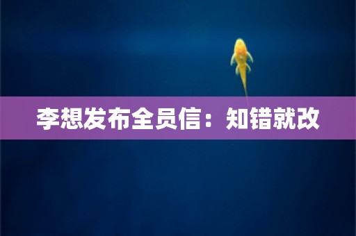 李想发布全员信：知错就改