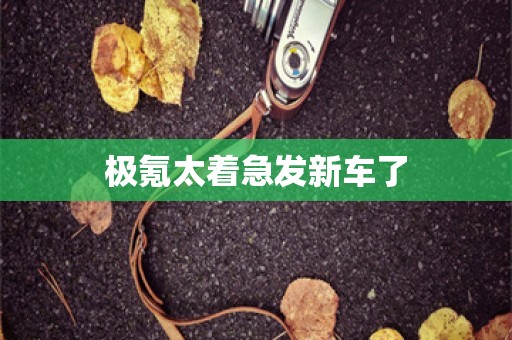 极氪太着急发新车了