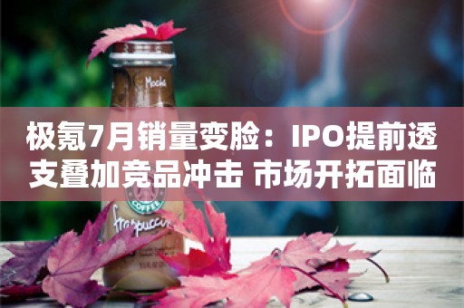 极氪7月销量变脸：IPO提前透支叠加竞品冲击 市场开拓面临巨大阻力