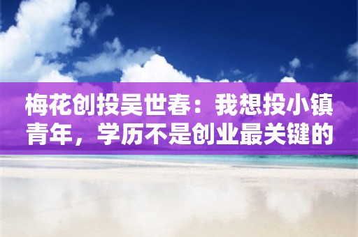 梅花创投吴世春：我想投小镇青年，学历不是创业最关键的品质