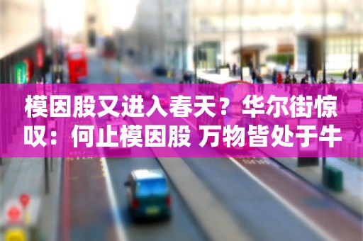 模因股又进入春天？华尔街惊叹：何止模因股 万物皆处于牛市