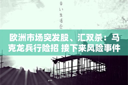 欧洲市场突发股、汇双杀：马克龙兵行险招 接下来风险事件扎堆