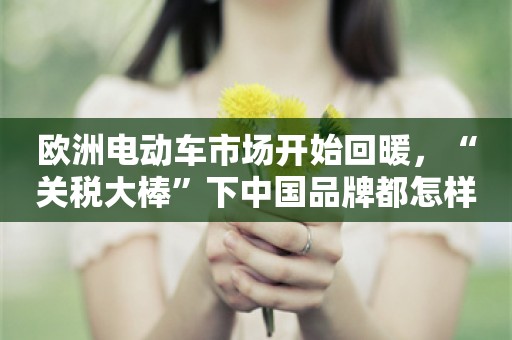 欧洲电动车市场开始回暖，“关税大棒”下中国品牌都怎样了？