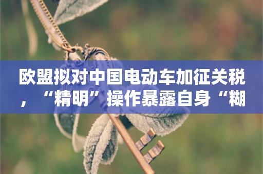 欧盟拟对中国电动车加征关税，“精明”操作暴露自身“糊涂”