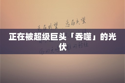 正在被超级巨头「吞噬」的光伏