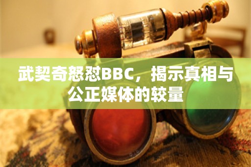 武契奇怒怼BBC，揭示真相与公正媒体的较量