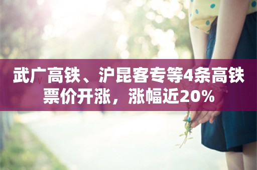 武广高铁、沪昆客专等4条高铁票价开涨，涨幅近20%