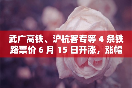 武广高铁、沪杭客专等 4 条铁路票价 6 月 15 日开涨，涨幅 20%
