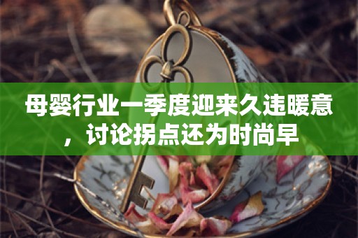 母婴行业一季度迎来久违暖意，讨论拐点还为时尚早