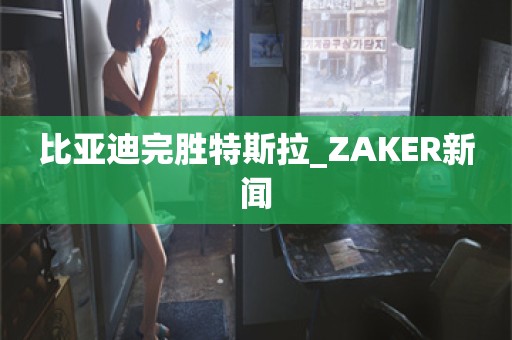 比亚迪完胜特斯拉_ZAKER新闻