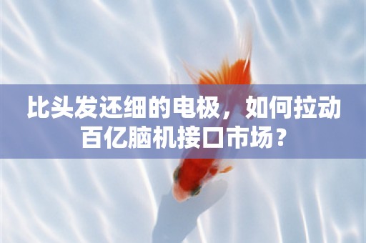 比头发还细的电极，如何拉动百亿脑机接口市场？