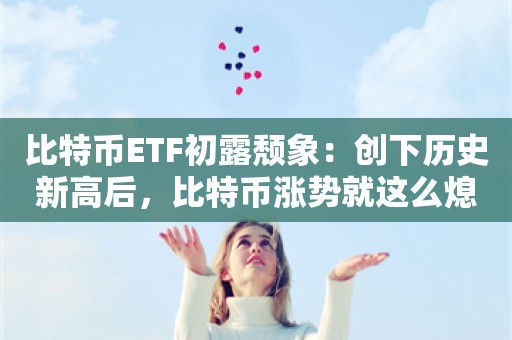 比特币ETF初露颓象：创下历史新高后，比特币涨势就这么熄火了？