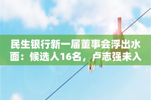 民生银行新一届董事会浮出水面：候选人16名，卢志强未入局