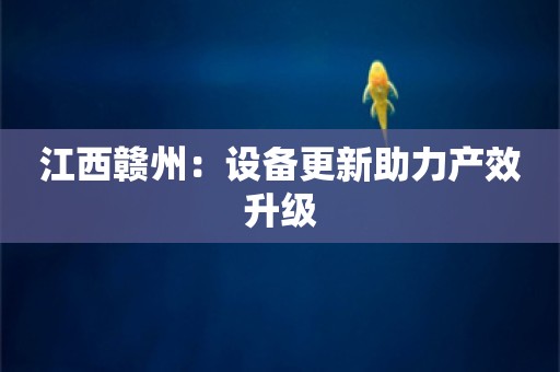 江西赣州：设备更新助力产效升级