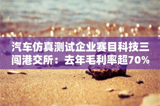 汽车仿真测试企业赛目科技三闯港交所：去年毛利率超70%，华为参投