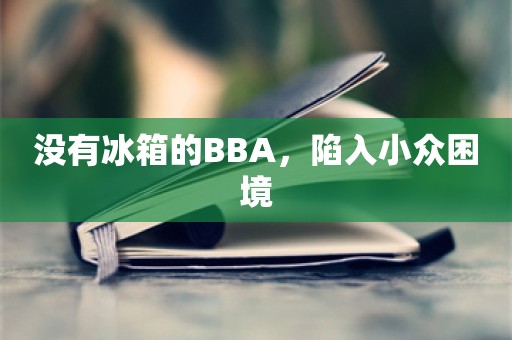 没有冰箱的BBA，陷入小众困境