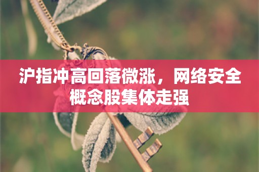 沪指冲高回落微涨，网络安全概念股集体走强