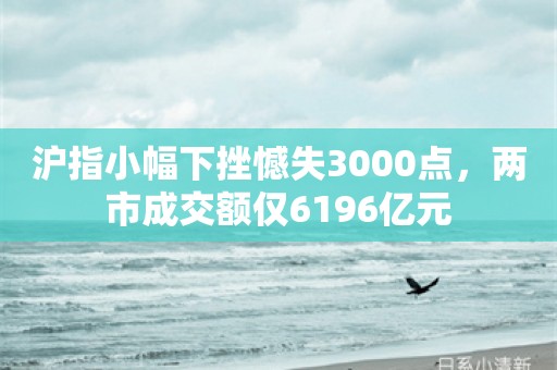 沪指小幅下挫憾失3000点，两市成交额仅6196亿元