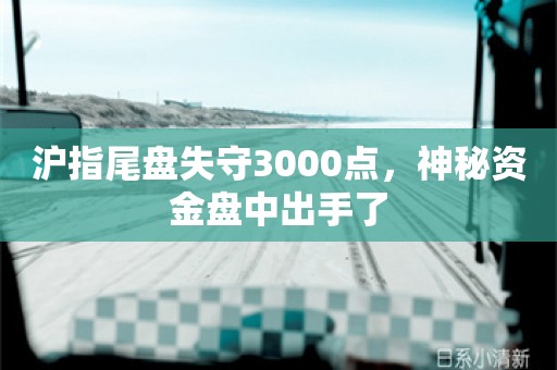 沪指尾盘失守3000点，神秘资金盘中出手了