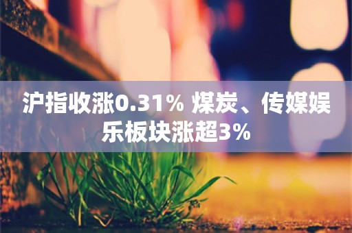 沪指收涨0.31% 煤炭、传媒娱乐板块涨超3%