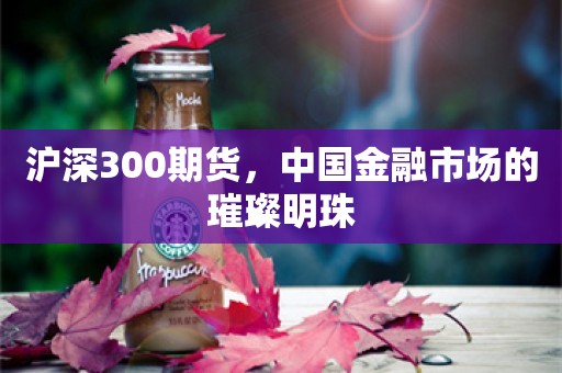 沪深300期货，中国金融市场的璀璨明珠