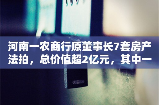 河南一农商行原董事长7套房产法拍，总价值超2亿元，其中一套豪宅估价过亿元！他15岁参加工作,5年前落马