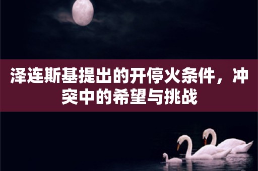 泽连斯基提出的开停火条件，冲突中的希望与挑战