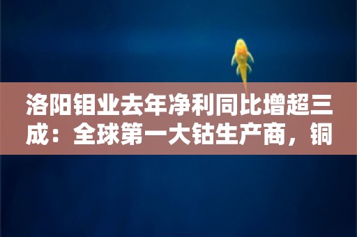 洛阳钼业去年净利同比增超三成：全球第一大钴生产商，铜排名中国第二