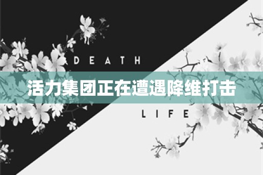 活力集团正在遭遇降维打击