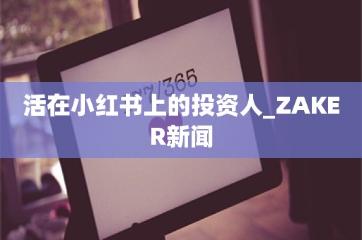 活在小红书上的投资人_ZAKER新闻