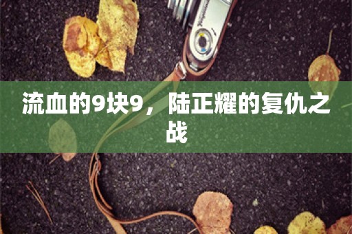 流血的9块9，陆正耀的复仇之战