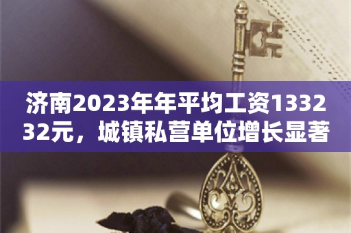 济南2023年年平均工资133232元，城镇私营单位增长显著