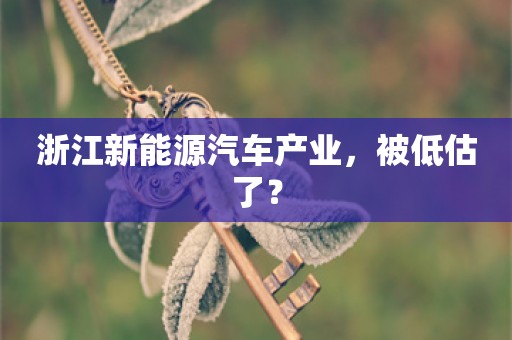 浙江新能源汽车产业，被低估了？