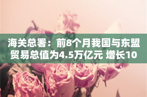 海关总署：前8个月我国与东盟贸易总值为4.5万亿元 增长10%