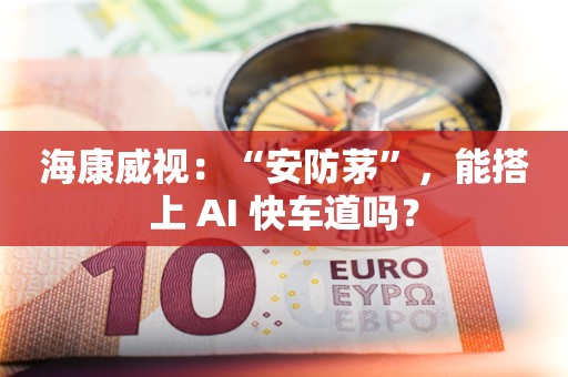 海康威视：“安防茅”，能搭上 AI 快车道吗？