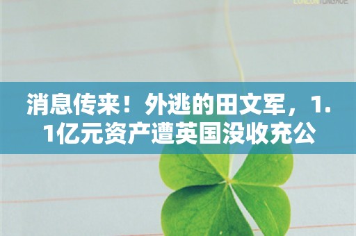 消息传来！外逃的田文军，1.1亿元资产遭英国没收充公