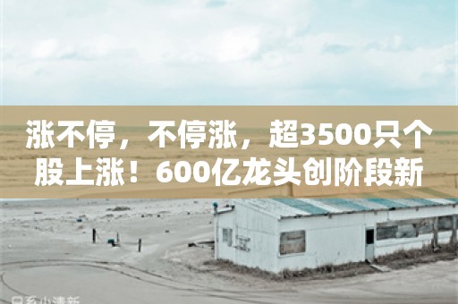 涨不停，不停涨，超3500只个股上涨！600亿龙头创阶段新高