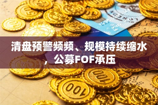 清盘预警频频、规模持续缩水，公募FOF承压