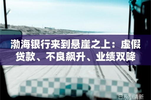 渤海银行来到悬崖之上：虚假贷款、不良飙升、业绩双降